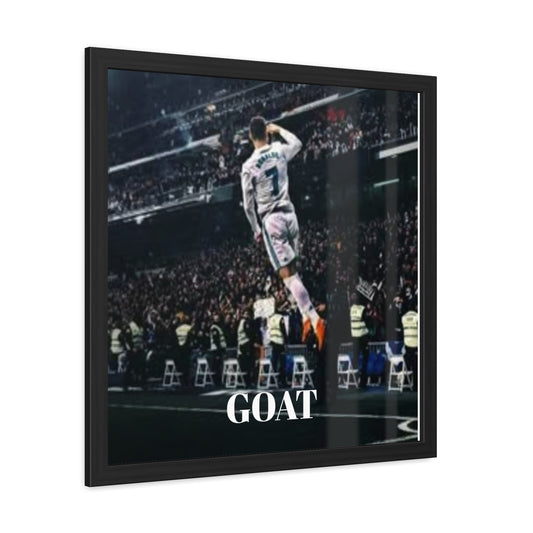 Framed Posters